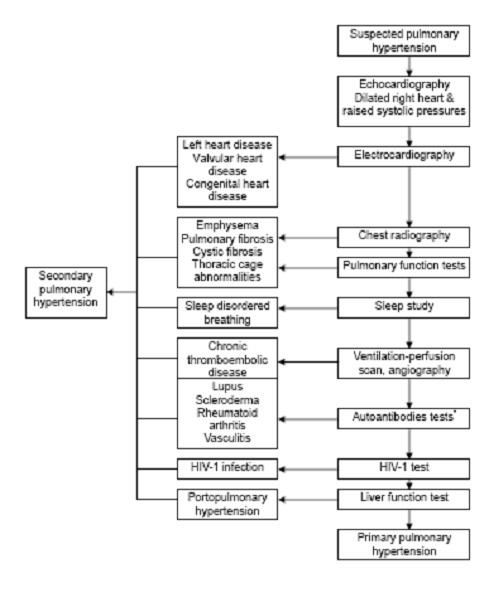 Antinuclear Antibody